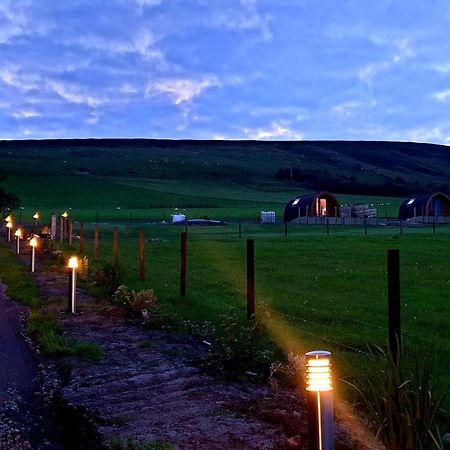Lilly'S Lodges Orkney Hedgehog Lodge Finstown Dış mekan fotoğraf
