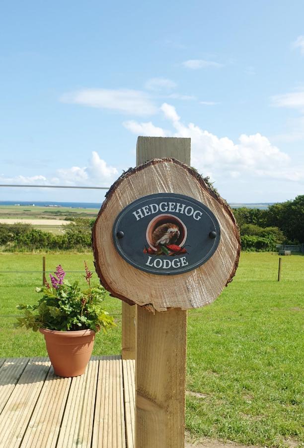 Lilly'S Lodges Orkney Hedgehog Lodge Finstown Dış mekan fotoğraf