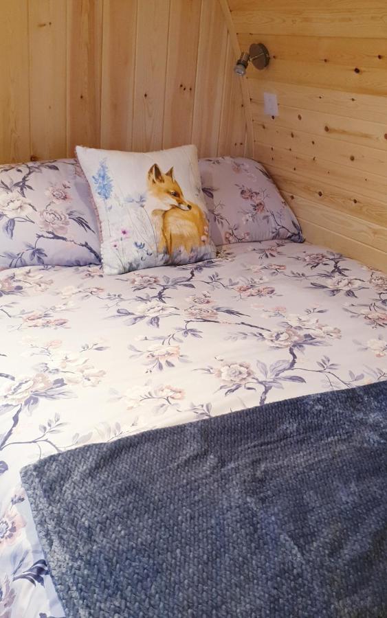 Lilly'S Lodges Orkney Hedgehog Lodge Finstown Dış mekan fotoğraf